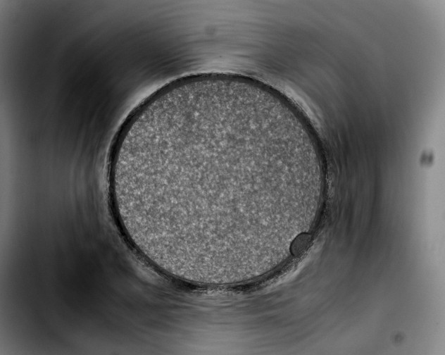 X0000103411077200810241203