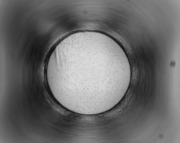 X0000103411078200810241203