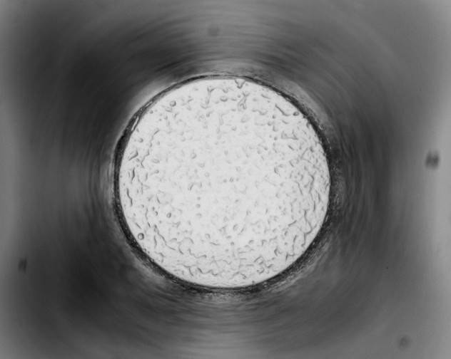 X0000103411079200810241203