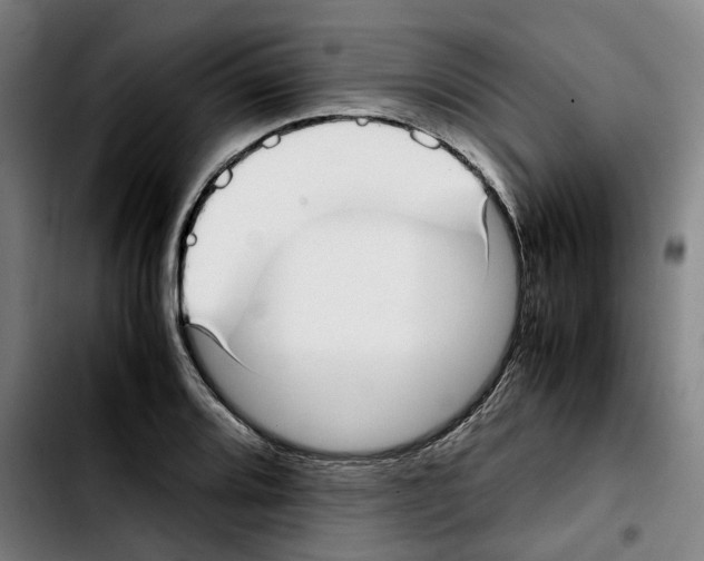 X0000103411080200810241203