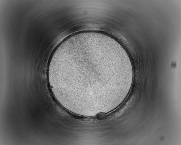 X0000103411081200810241203