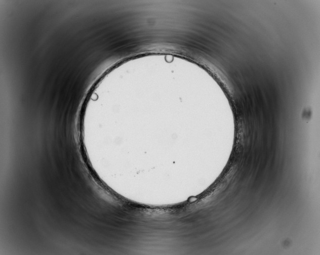 X0000103411082200810241203