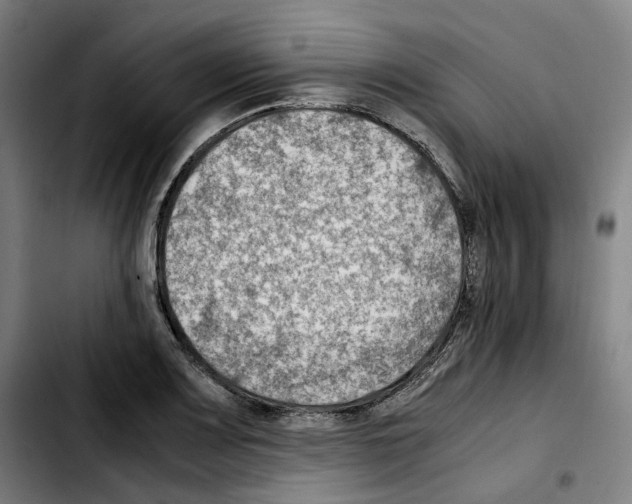 X0000103411083200810241203