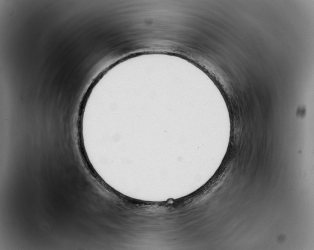 X0000103411085200810241203