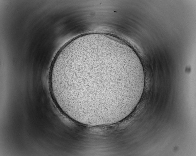 X0000103411086200810241203