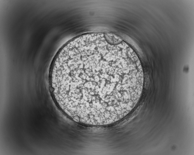 X0000103411087200810241203