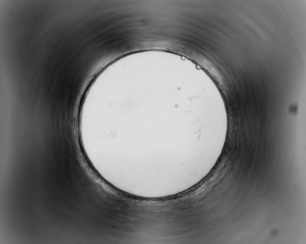 X0000103411088200810241203