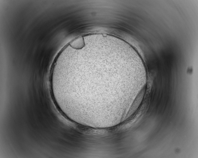 X0000103411090200810241203