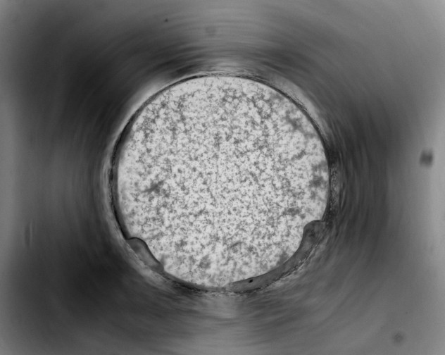 X0000103411091200810241203