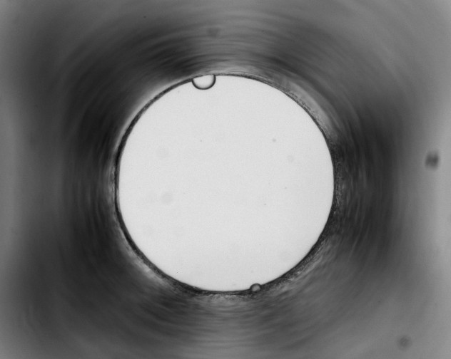 X0000103411092200810241203