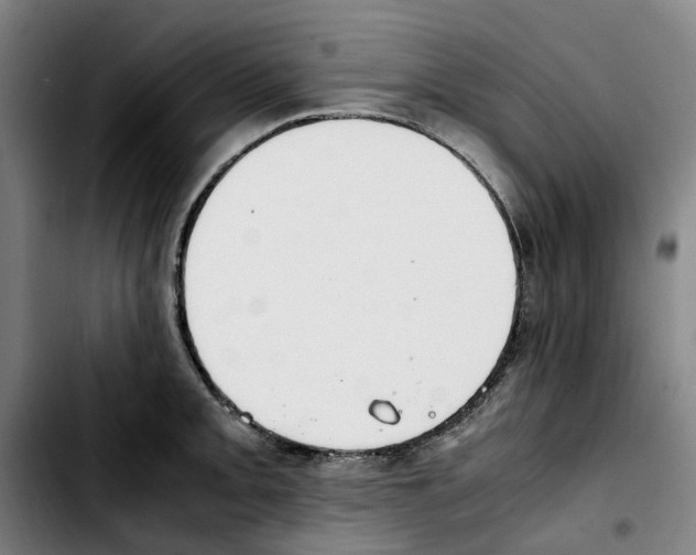 X0000103411093200810241203