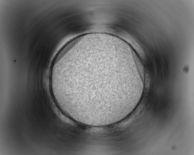 X0000103411094200810241203