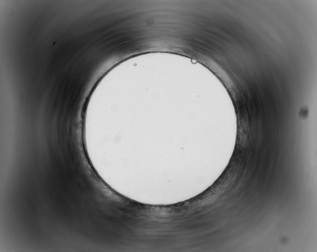 X0000103411096200810241203