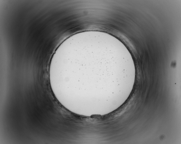 X0000103411097200810241203