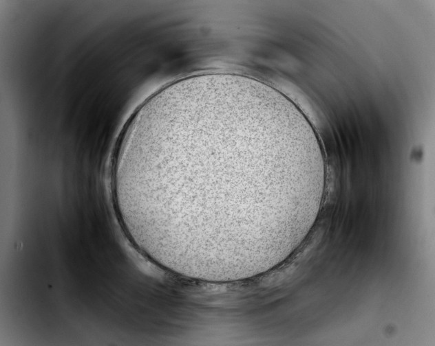 X0000103411098200810241203