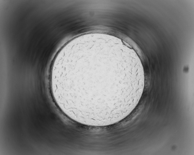 X0000103411099200810241203