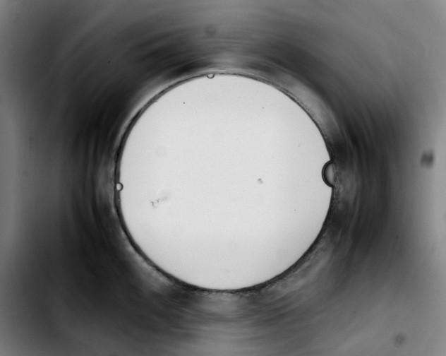 X0000103411100200810241203