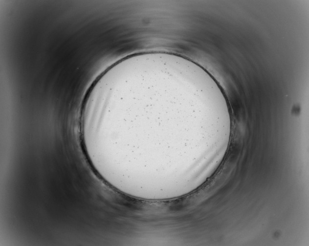 X0000103411101200810241203