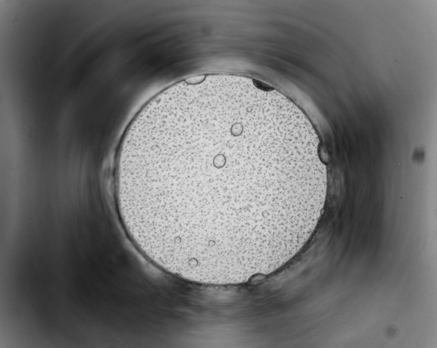 X0000103411103200810241203