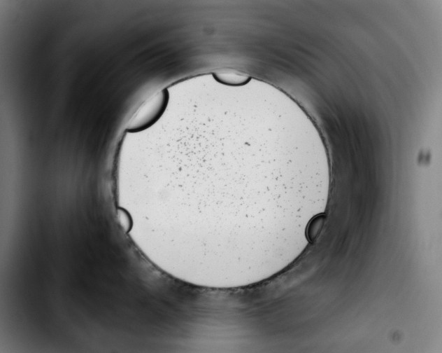 X0000103411104200810241203