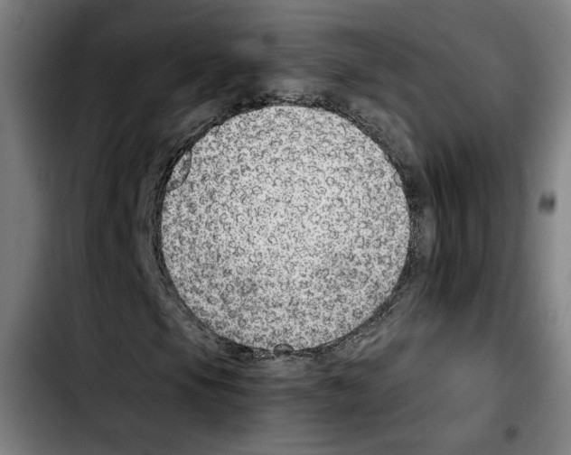 X0000103411105200810241202