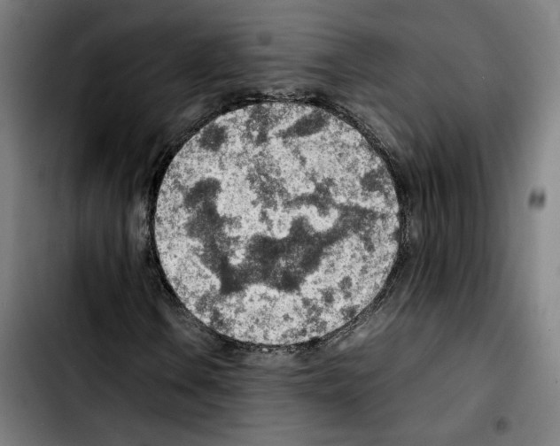 X0000103411106200810241202