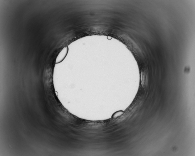 X0000103411107200810241202