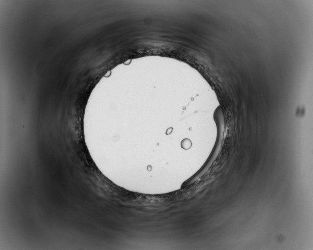 X0000103411109200810241202