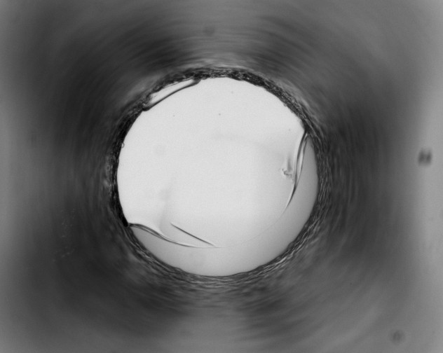 X0000103411110200810241202