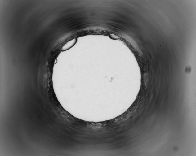 X0000103411111200810241202