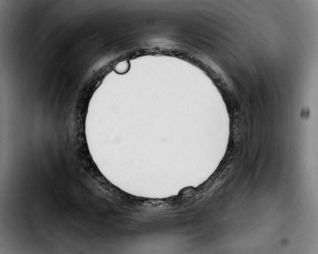 X0000103411112200810241202