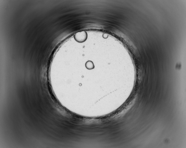 X0000103411113200810241202