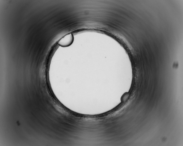 X0000103411114200810241202