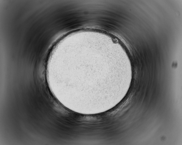 X0000103411115200810241202