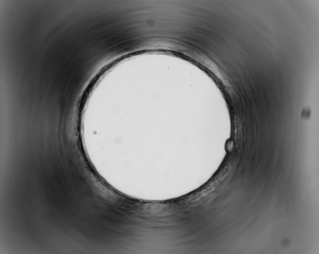 X0000103411116200810241202