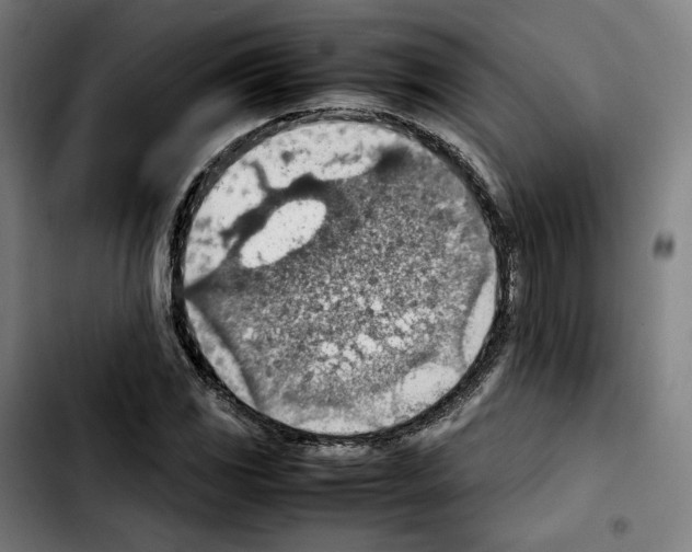 X0000103411117200810241202