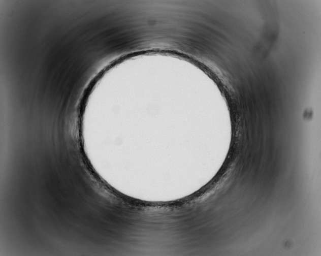 X0000103411118200810241202