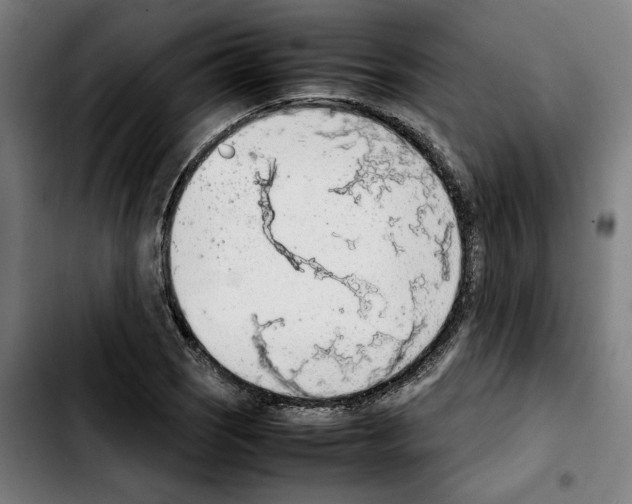 X0000103411121200810241202