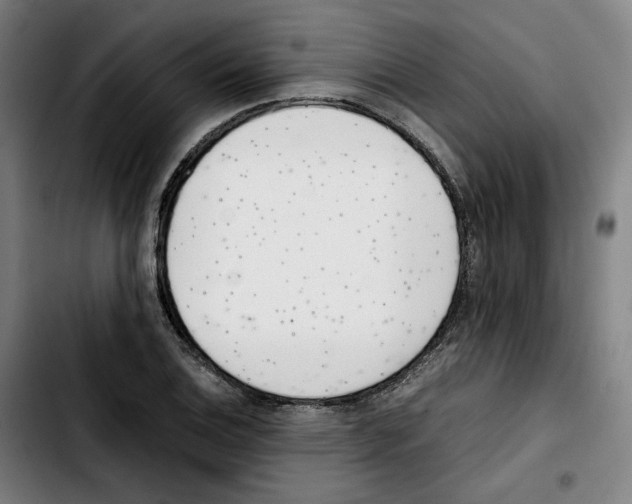 X0000103411124200810241202