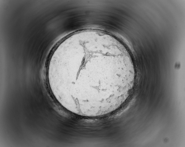 X0000103411125200810241202