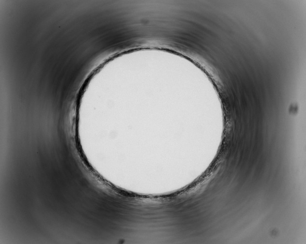 X0000103411126200810241202