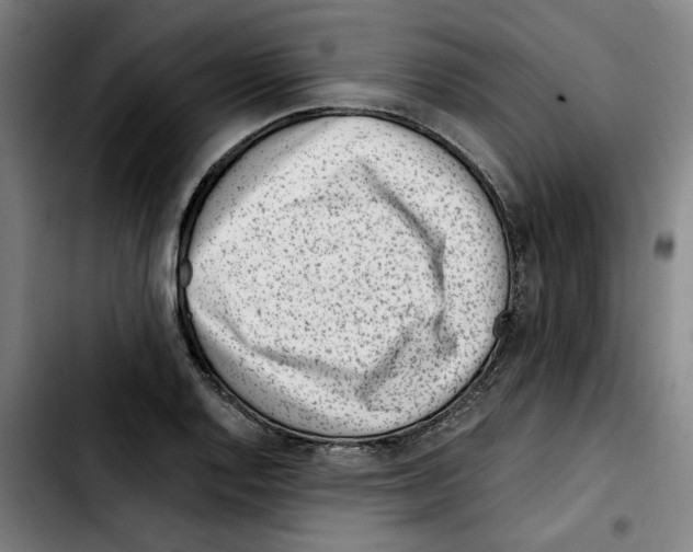 X0000103411128200810241202