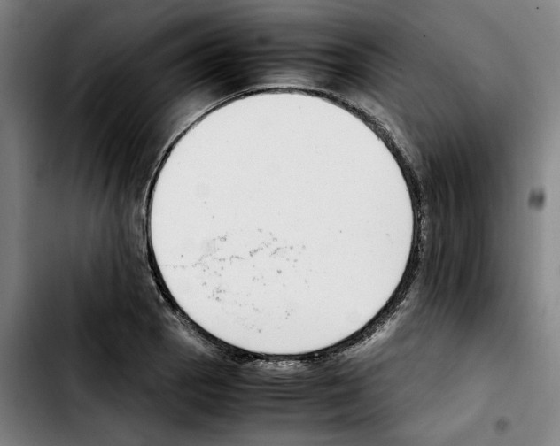 X0000103411129200810241202