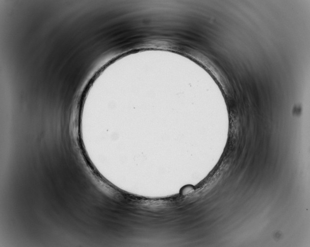 X0000103411131200810241202