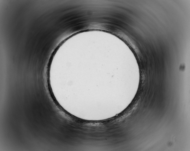 X0000103411133200810241202