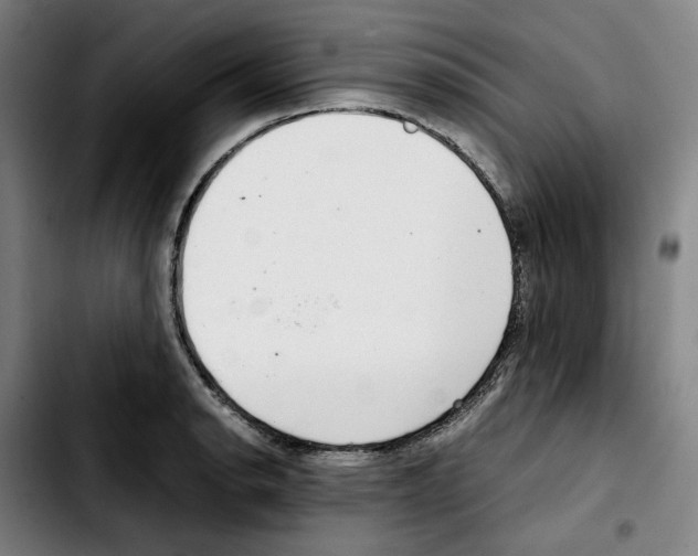 X0000103411134200810241202