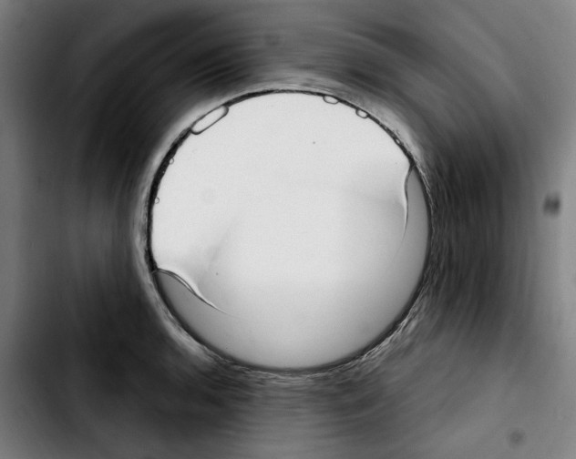 X0000103411136200810241202