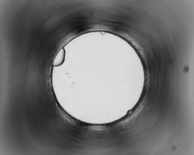 X0000103411137200810241202