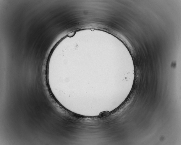 X0000103411138200810241202