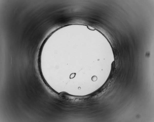 X0000103411139200810241202